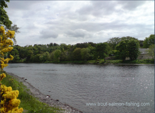 The Mill Stream and MacIntyre pools, River Ness