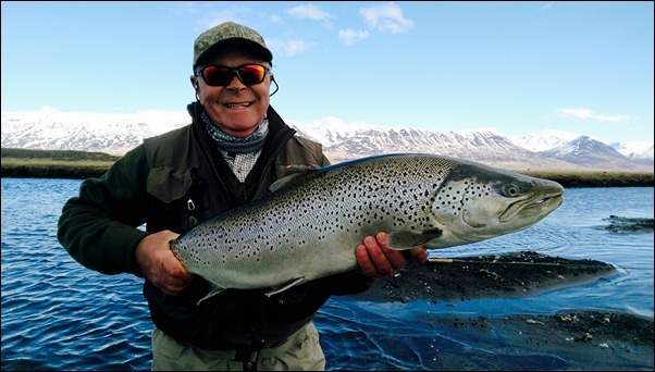 Icelandic Sea Trout