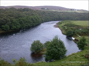Salmon Fishing on the River Naver