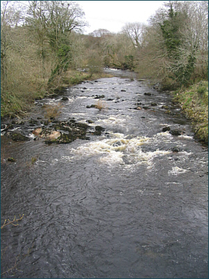 River Urr Salmon Fishing