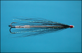 Gray's needle Tube Fly